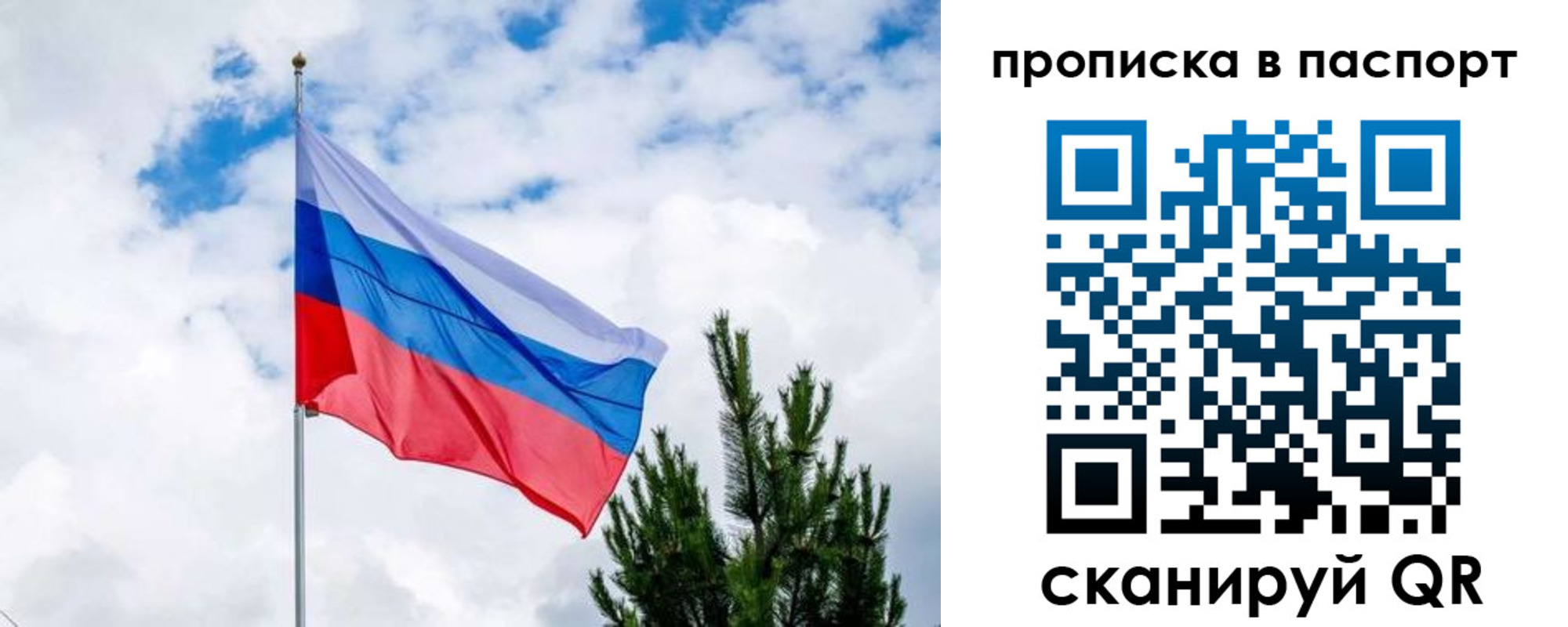 прописка в Калининграде